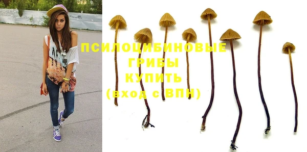 дживик Нея
