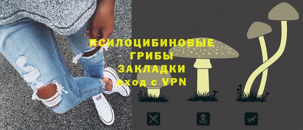 дживик Нея