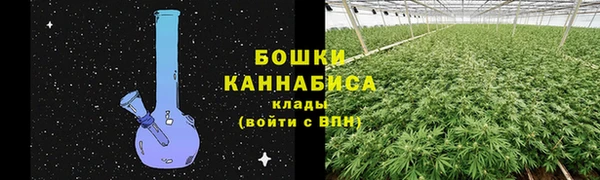 дживик Нея