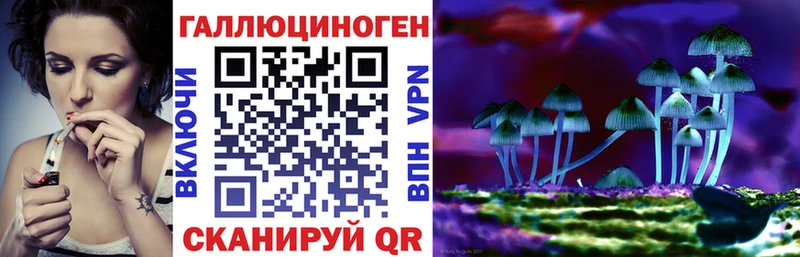 Псилоцибиновые грибы ЛСД  закладка  Черноголовка 